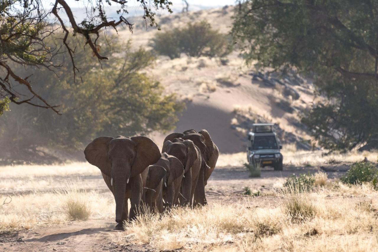 Wilderness Safaris Damaraland Camp Vila Twyfelfontein Exterior foto